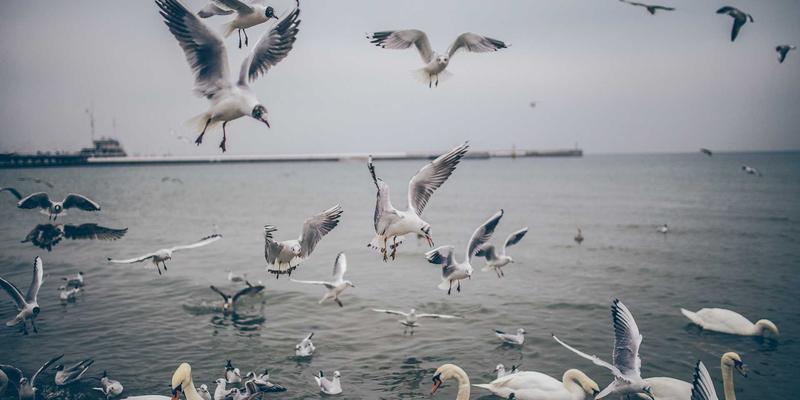 从临时组队到稳定社群：《星辰天下》中装备交易与游戏账号如何塑造社交生态