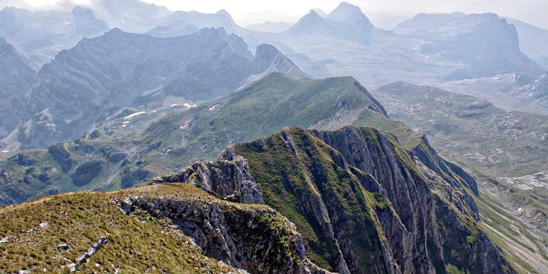 从边缘到核心：女性玩家在网络游戏中的崛起与挑战——聚焦装备交易与账号生态