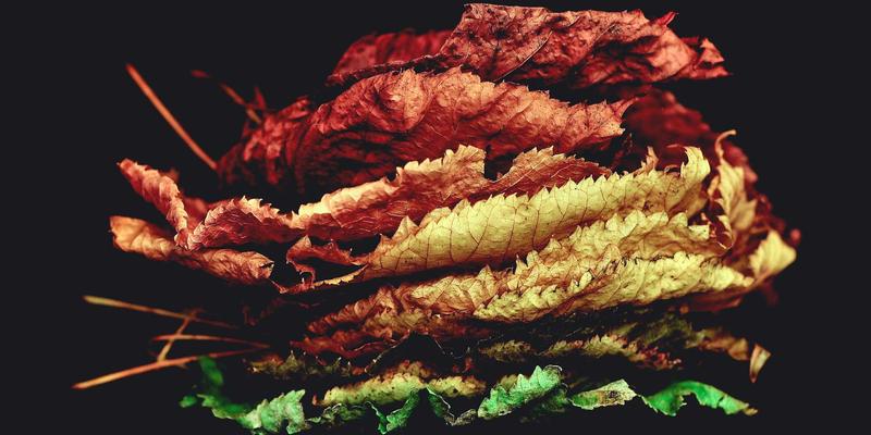 告别卡顿！揭秘网络游戏加速器：原理、选择与自建节点指南，助你畅玩《星辰天下》无忧交易