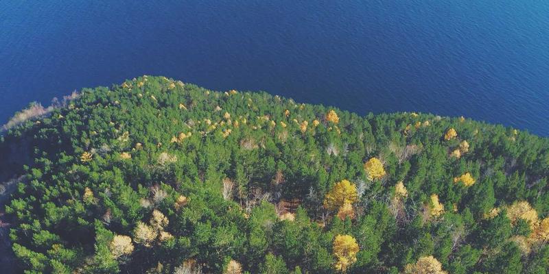 《星辰天下》中的女性玩家：装备交易如何塑造独特的社区体验