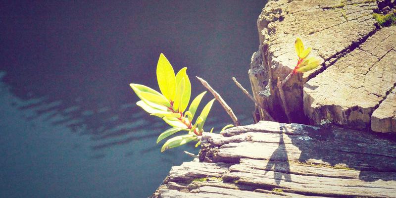 《星辰天下》如何通过装备交易与账号系统平衡文化输出与本土化