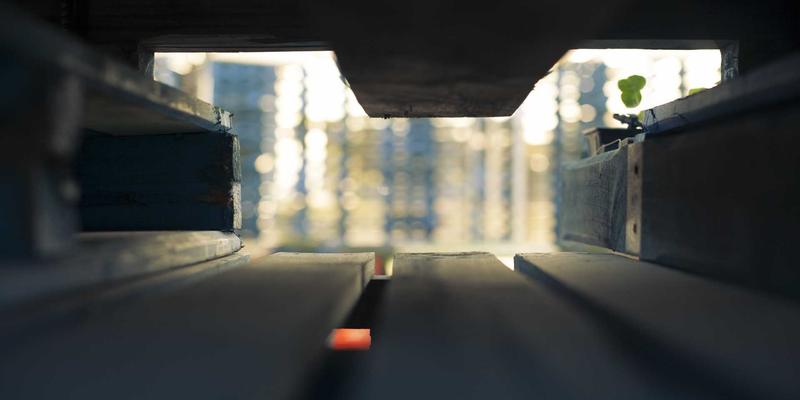 《星辰天下》新手进阶指南：网络游戏高效玩法与游戏币获取全攻略