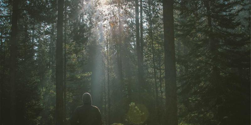 《星辰天下》游戏账号价值解析:从虚拟资产到数字财富的蜕变之路