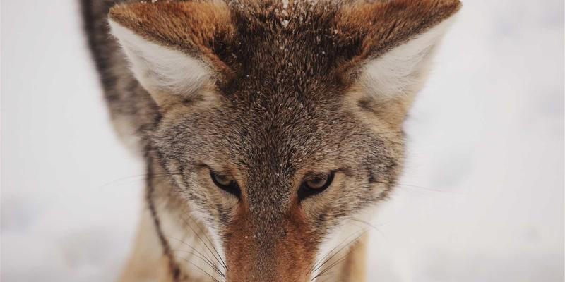 《星辰天下》游戏账号全解析：从创建到交易的安全指南