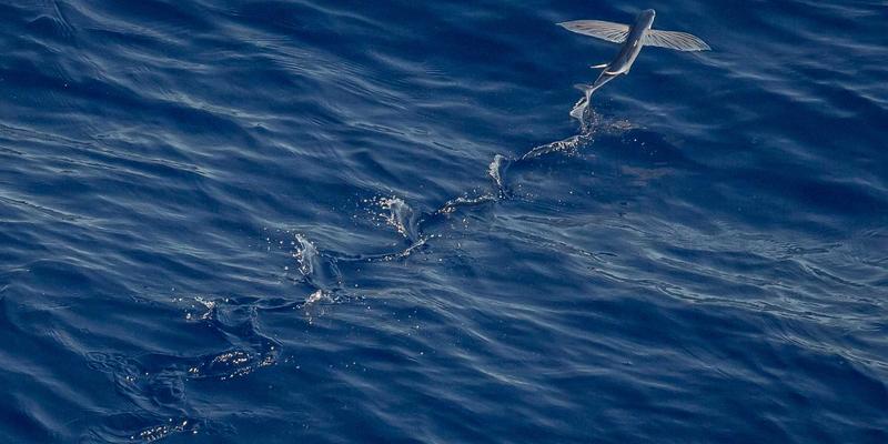 《星辰天下》的虚拟交易与成瘾机制：网络游戏设计的道德边界