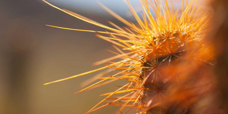 《星辰天下》账号价值解析:从虚拟资产到数字财富的演进之路