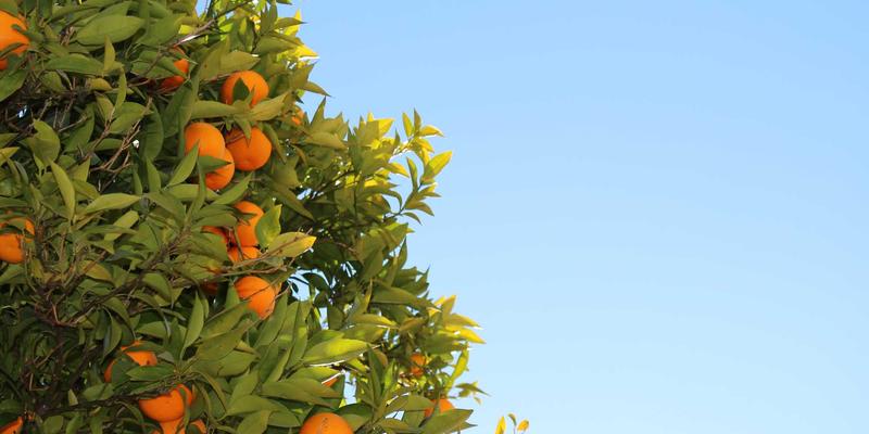 游戏币与装备交易背后：网络游戏如何影响青少年心理健康及科学应对策略