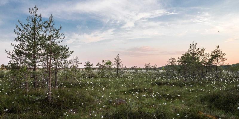 游戏引擎开源趋势下，开发者社区如何重塑虚拟交易生态：装备交易与游戏账号安全新范式