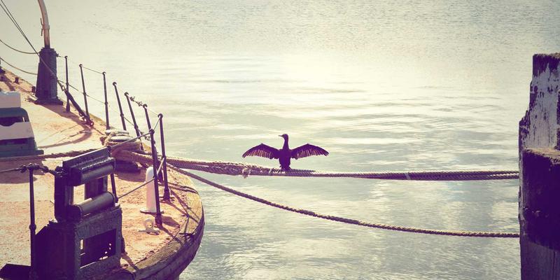 游戏本地化策略：从《星辰天下》看装备交易系统的文化适配与语言翻译