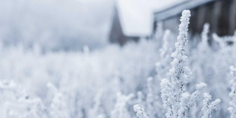 网络游戏版号政策收紧，游戏账号与《星辰天下》等产品如何破局发展？
