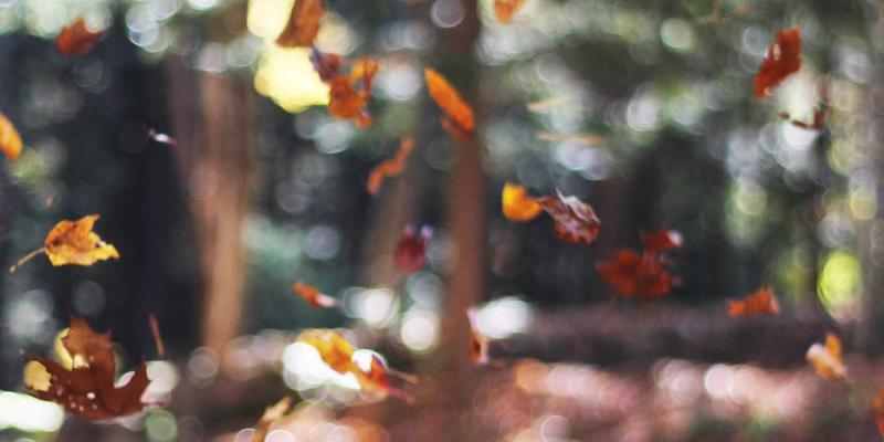 网络游戏虚拟交易全解析：游戏账号交易的风险管控与价值评估