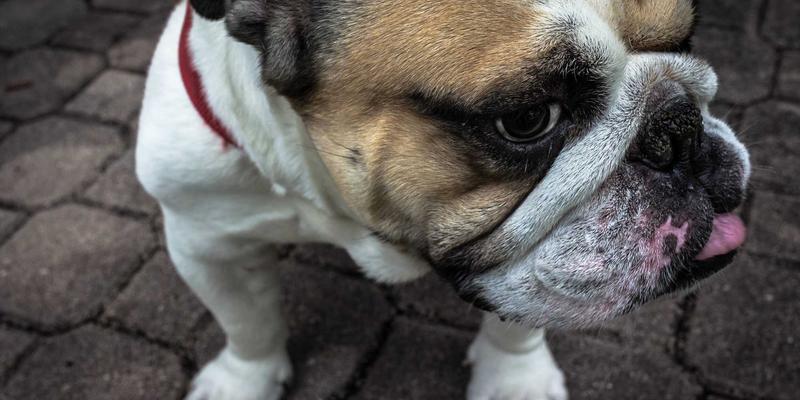 网络游戏虚拟资产交易指南:装备与账号交易的风险管控与价值实现