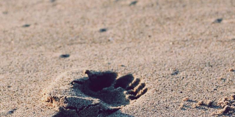 虚拟交易与玩家创造力：装备交易、游戏账号如何重塑模组开发生态