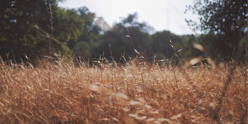 装备交易与虚拟经济的听觉密码：游戏音效与配乐如何塑造沉浸式环境